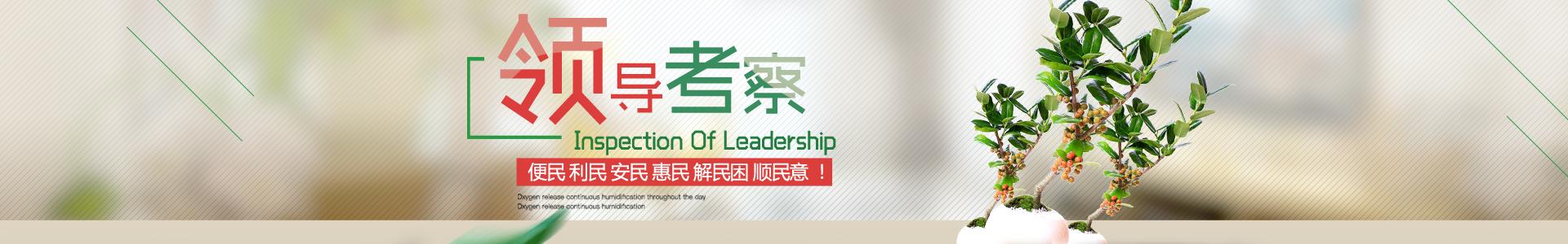 领导考察banner
